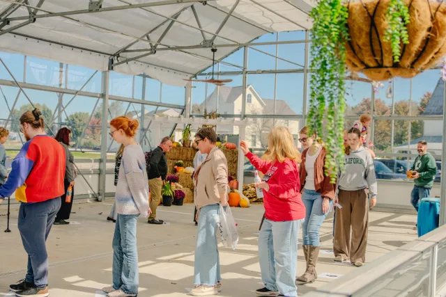 People walk in a circle inside a sunny glass greenhouse with hay bales, pumpkins and a hanging basket of greenery.