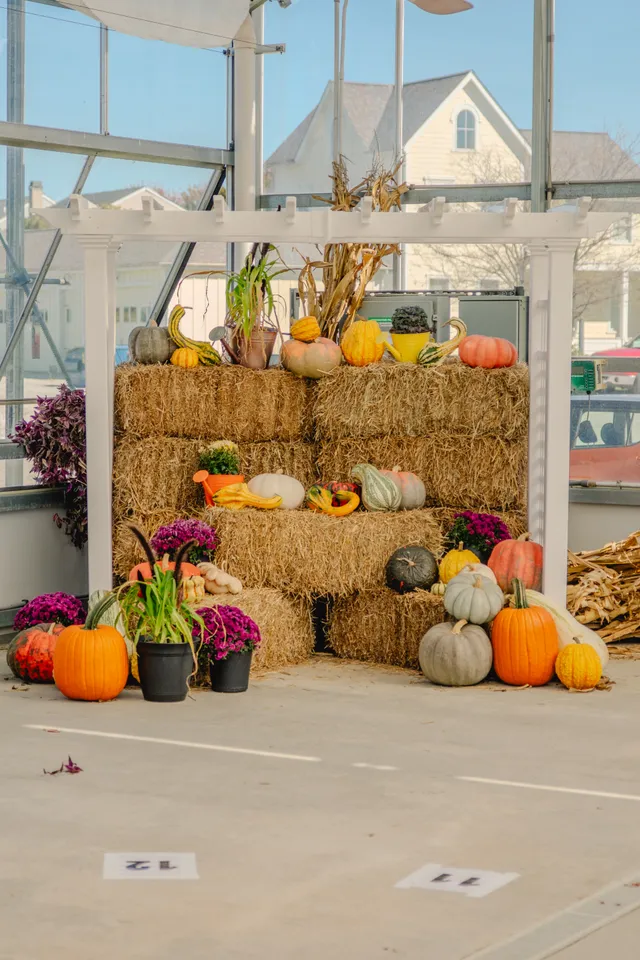 Stacked hay bales topped with pumpkins, gourds, mums and corn stalks under a white pergola in a greenhouse