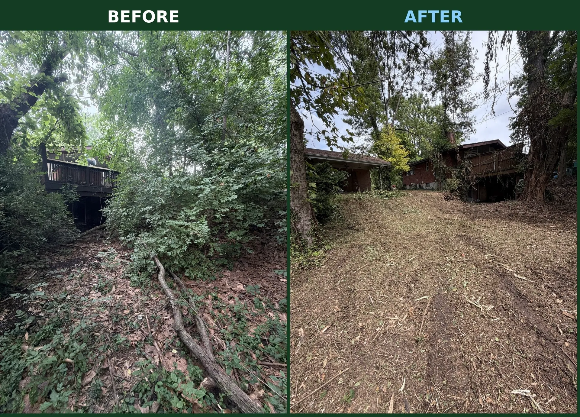 Before and after: an overgrown backyard bed mulched down in place by a forestry mulcher