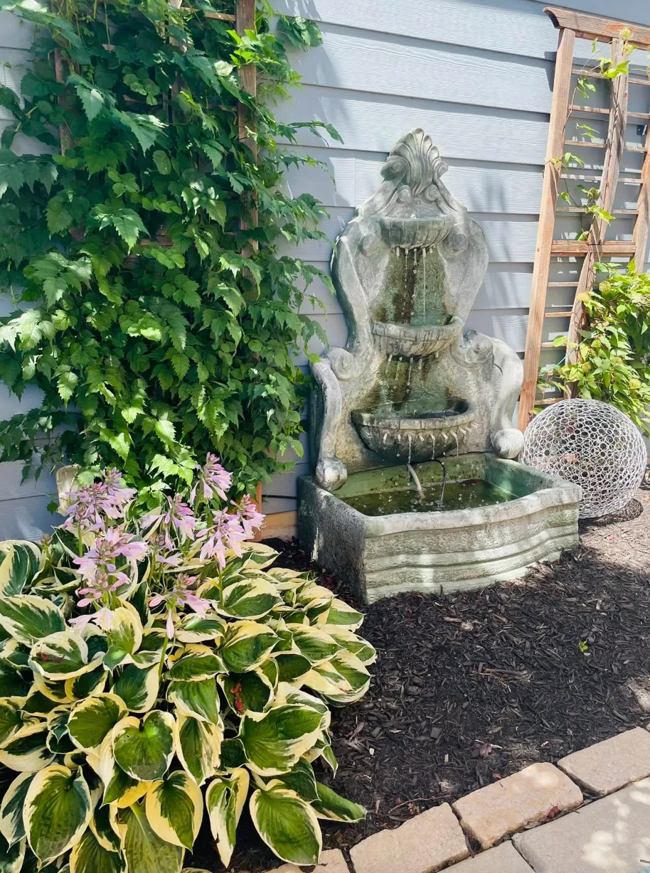 Mid-June garden at its peak with hydrangeas and climbing roses